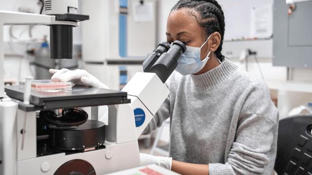 Photo shows Raychel Lewis, a cell culture technician, sets up equipment to test COVID-19 samples from recovered patients at a lab in New York City. (Misha Friedman/Getty Images)