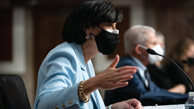 Photo shows CDC Director Rochelle Walensky and Anthony Fauci, director of the National Institute of Allergy and Infectious Diseases and chief medical adviser to the president, testify before a Senate committee hearing on the federal response to COVID-19 on Jan. 11 on Capitol Hill in Washington.