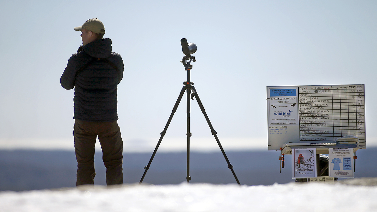 Zane Baker scans the skies for migrating raptors as part of an annual hawk watch event on Bradbury Mountain in Pownal, Maine. His data goes to a national database. (Ben McCanna/Portland Press Herald via Getty Images)