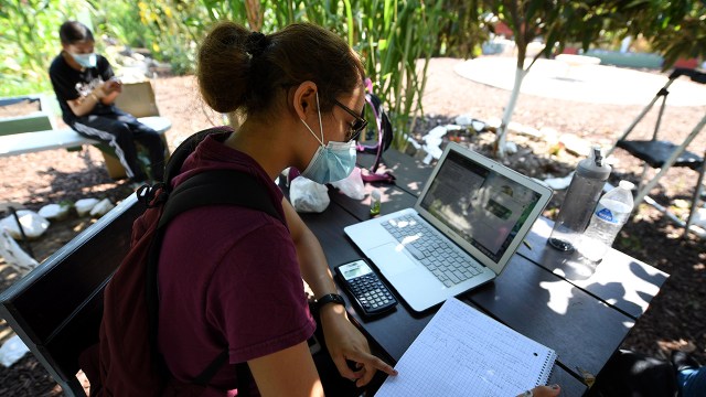 High school senior Jocelyn Hernandez follows a remote class while sitting in a community garden near her home on Aug. 14, 2020, in Los Angeles. (Robyn Beck/AFP via Getty Images)