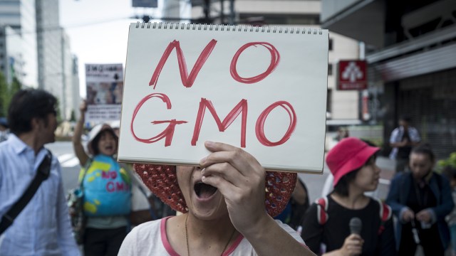 Protesters gathered during a World March Against Monsanto in Tokyo on May 21, 2016. (Alessandro Di Ciommo/NurPhoto via Getty Images)