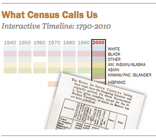 Click the image above to explore our census race categories interactive.