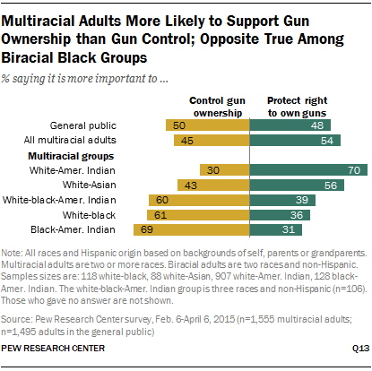 Multiracial Adults More Likely to Support Gun Ownership than Gun Control; Opposite True Among Biracial Black Groups