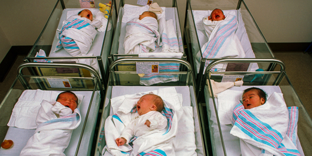  Newborn babies in hospital nursery, Danbury, Connecticut USA ©2006 Blaine Harrington III