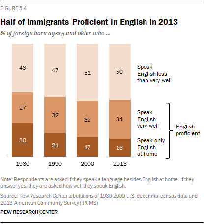 Half of Immigrants Proficient in English in 2013 
