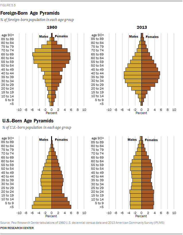 Foreign-Born and U.S.-Born Age Pyramids